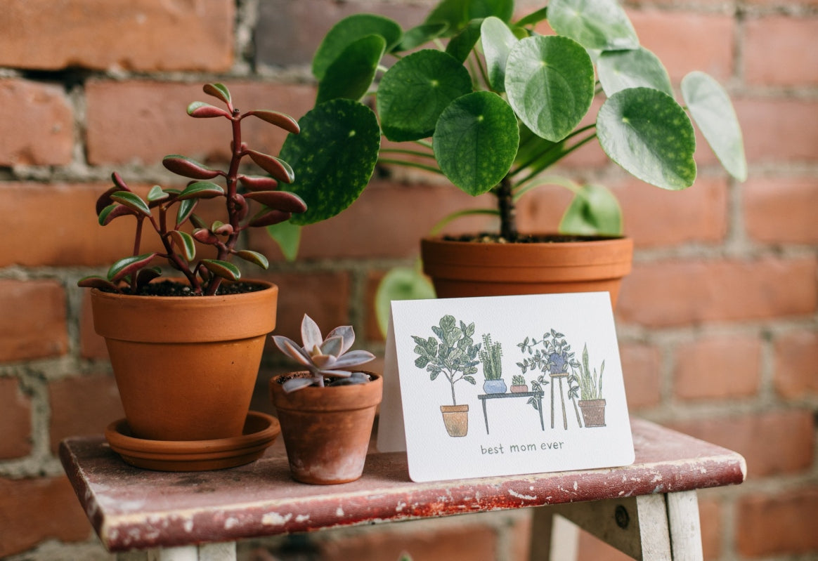 Mother's day card by Gotamago sits in front of green plants and a brick wall