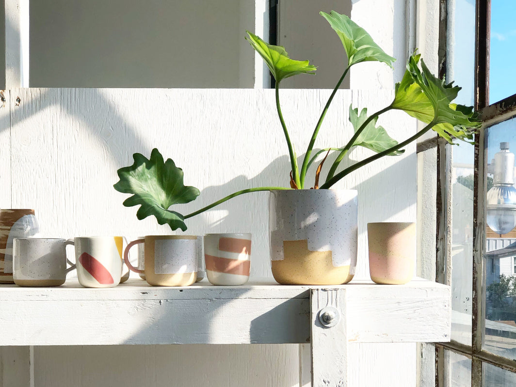 Ceramic planters and mugs on a sun-soaked white wooden shelf in Shayna Stevenson's Toronto studio