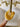 Squiggle Mustard Swedish Dish Cloth
