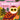 Guess Who? In The Forest