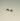 Crescent Moon Studs