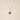 Soft Tides Shell Necklace