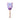 Flower Seed Pops