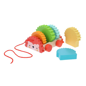 Rainbow Hedgehog Pull Toy
