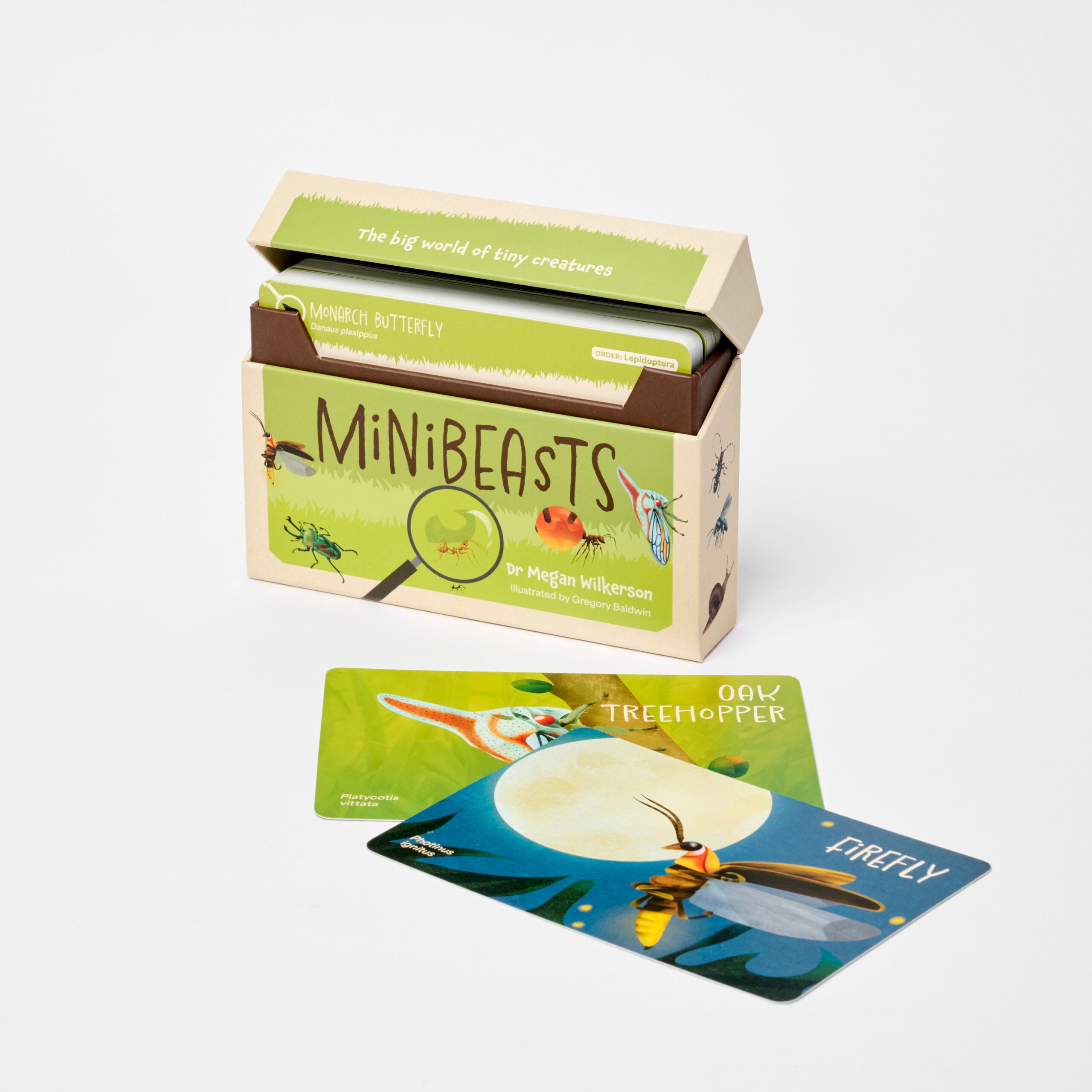 Mini Beasts Deck – Scout