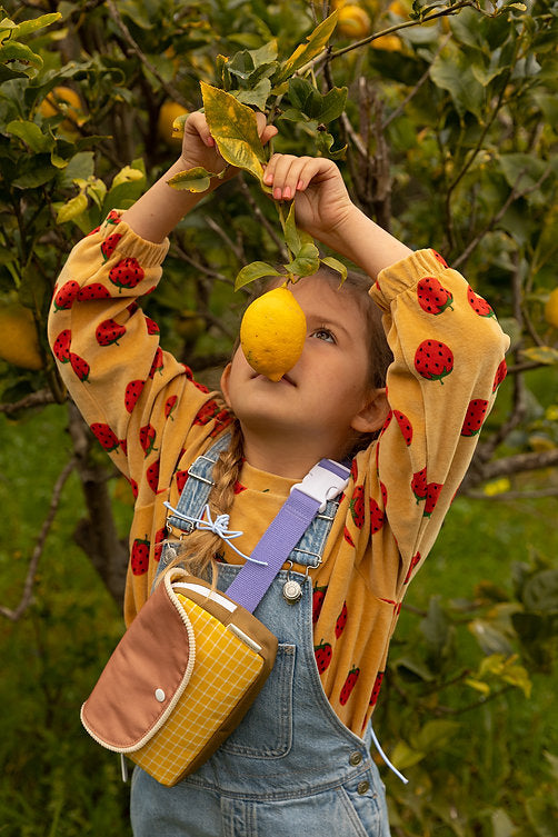 Farmer Small Grid Fanny Pack