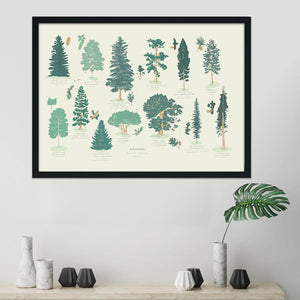 Arboretum Art Print