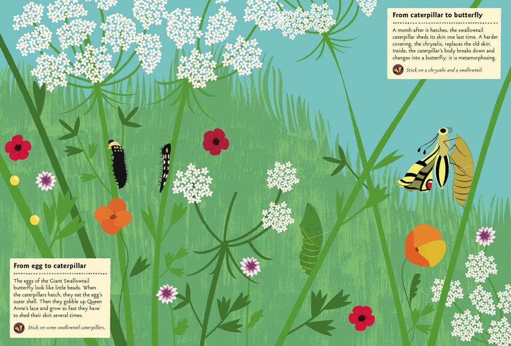 Butterflies of the World Sticker Book