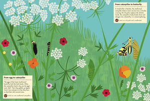 Butterflies of the World Sticker Book