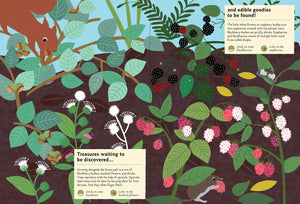 In The Forest Sticker Book