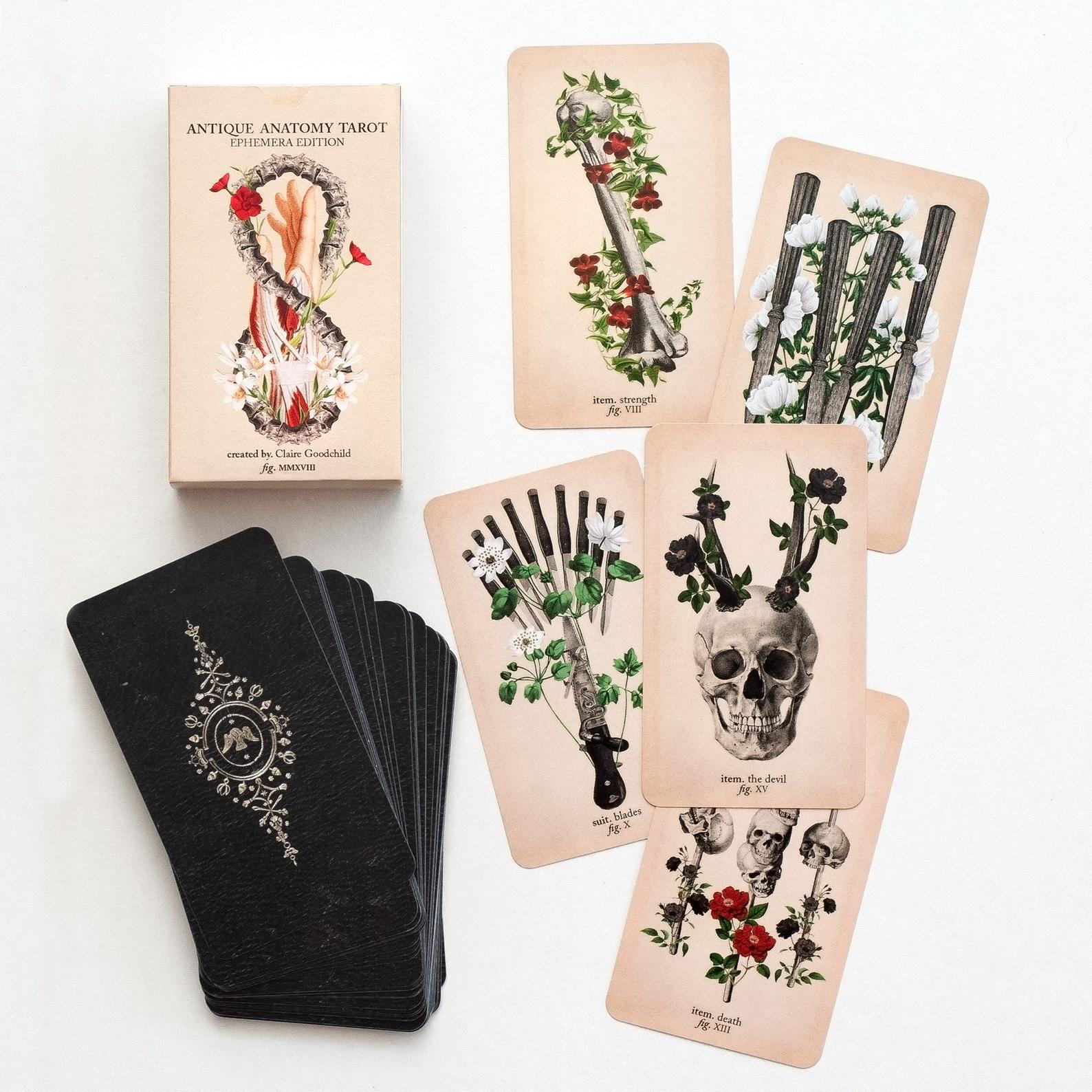 The Antique Anatomy Tarot Kit comes with a 78-card deck and guidebook.