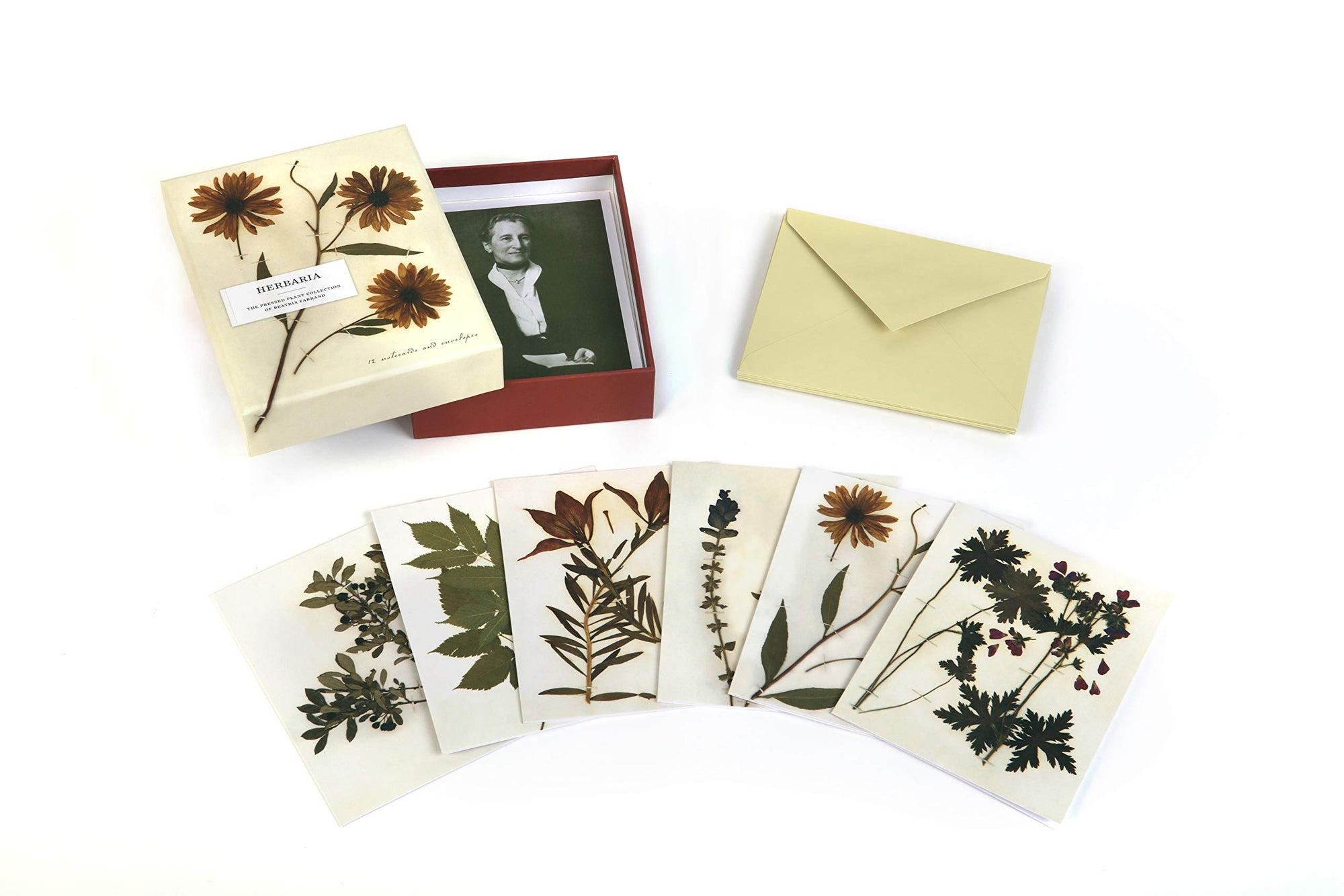 Herbaria Notecards