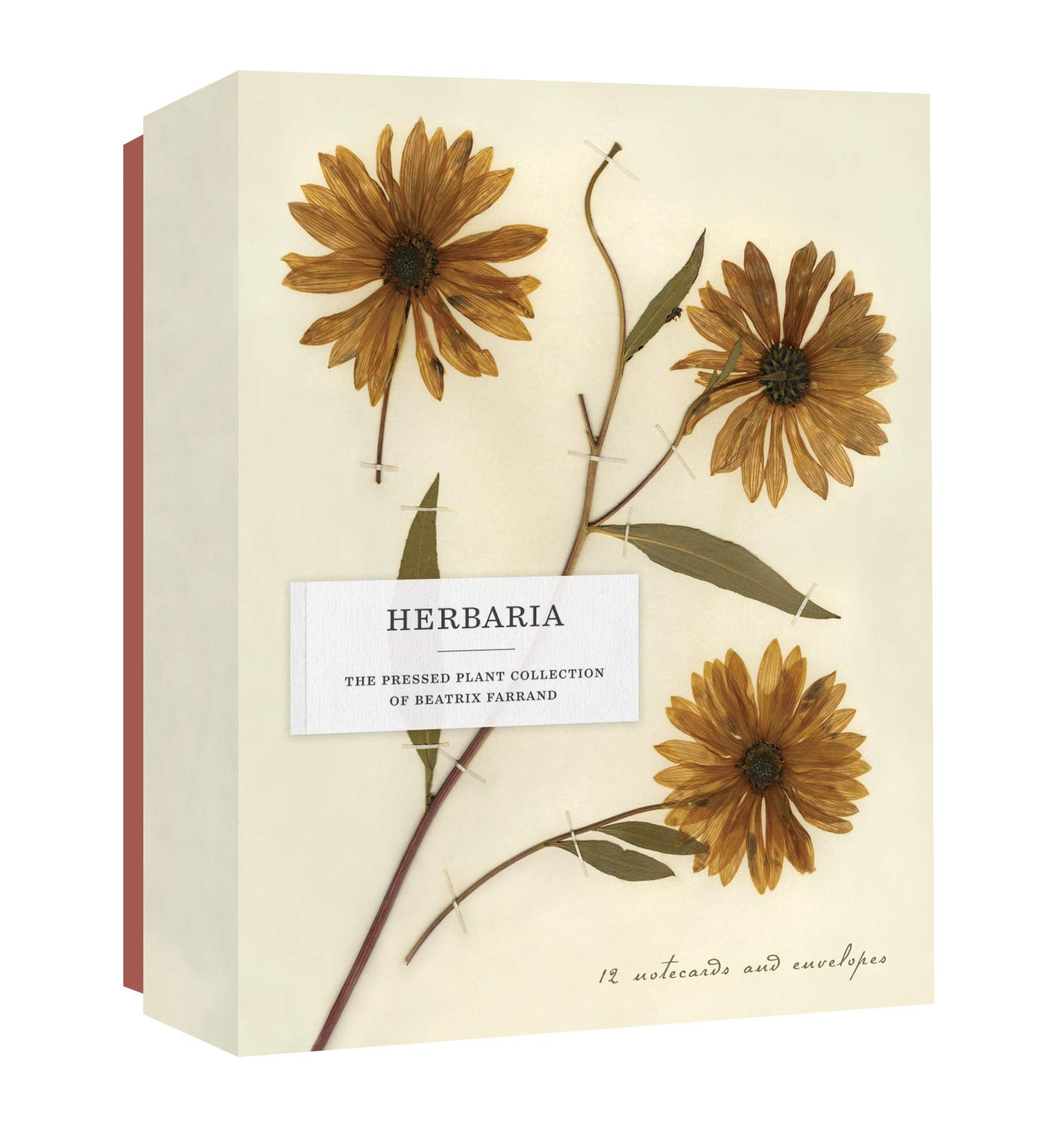 Herbaria Notecards