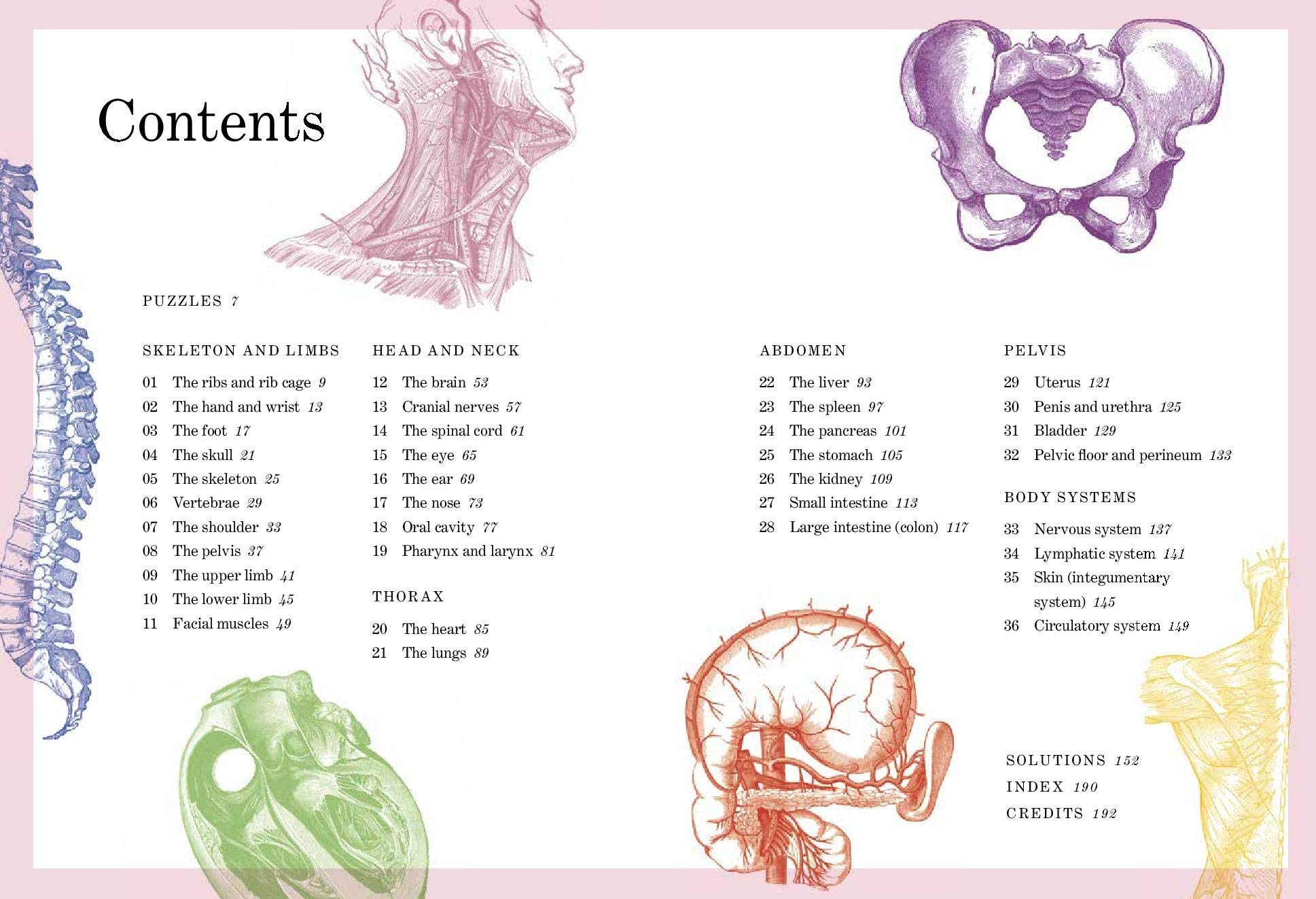 Gray's Anatomy Puzzle Book