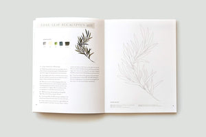 Watercolour Workbook